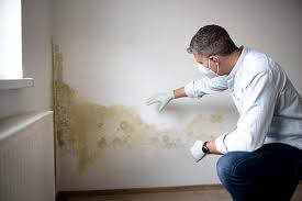 Trusted Winchester, VA Mold Remediation Experts